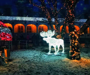 Iluminacje bożonarodzeniowe w Szczecinie