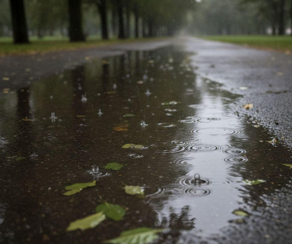 Krople deszczu padające do kałuży na asfaltowej alejce w parku. O nagłej zmianie pogody w Łodzi przeczytasz na SE Łódź.