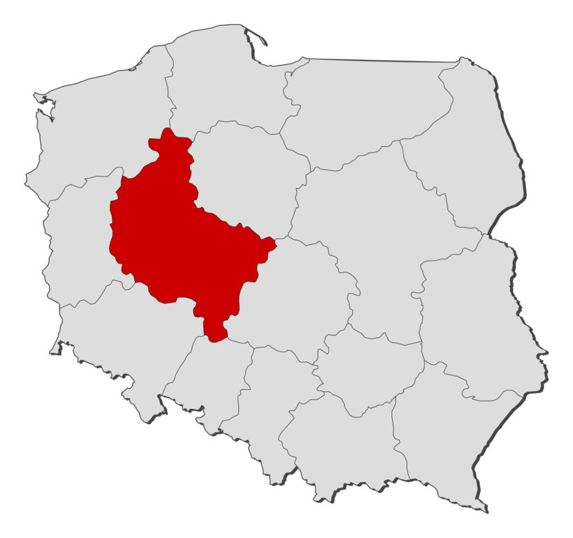 Turek