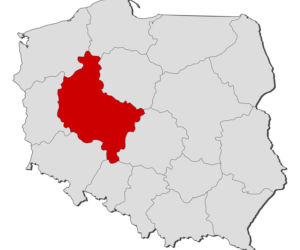 województwo wielkopolskie - mapa