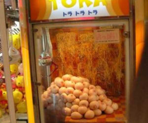 japonia mistrzem japonii