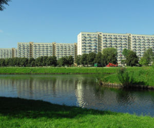 Żabianka