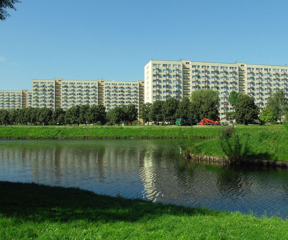 Żabianka