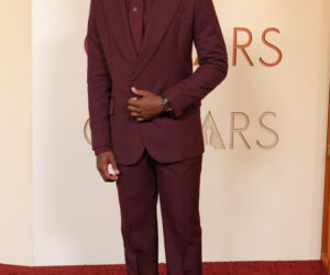 Oscary 2026 - wyjątkowe kreacje gwiazd