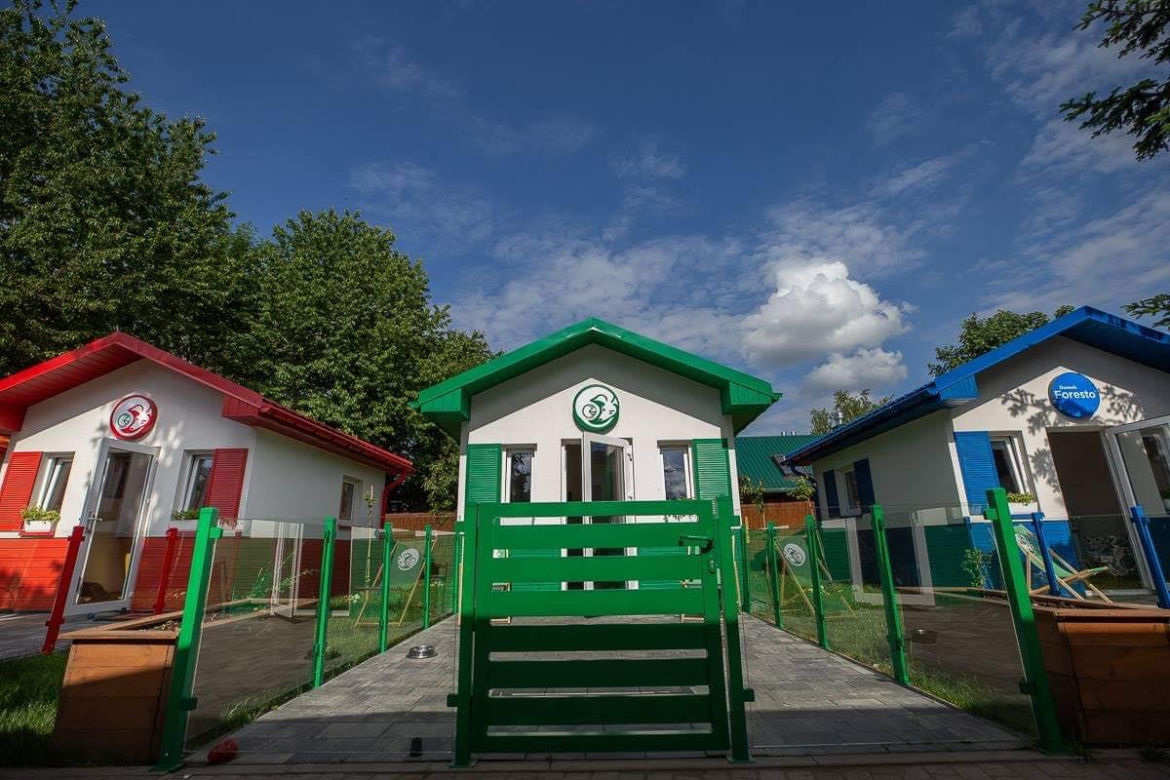 Przemyśl. U nich psy nie czekają na adopcję w klatkach [GALERIA]	