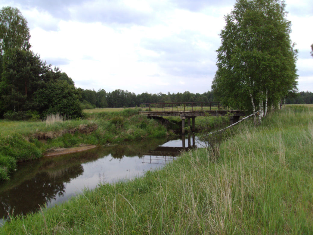 Liswarta