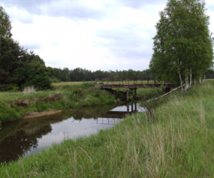 Liswarta