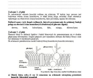 Matura 2013 biologia p. rozszerzony