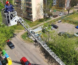 Spektakularne zatrzymanie przestępcy na łódzkim osiedlu! Do akcji zaangażowani... strażacy