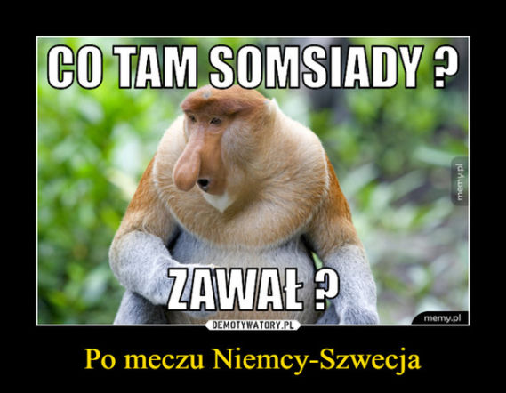 Niemcy - Szwecja 2018: MEMY i ŚMIESZNE OBRAZKI po meczu na mundialu 23.06