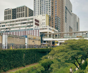 Cheonggyecheon, Seul
