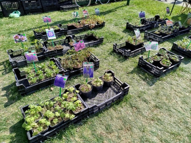 Impreza Wiosna na polu i w ogrodzie odbyła się w Siedlcach już po raz 18.