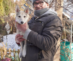 Żaroodporny pies i cud w Ciechanowcu