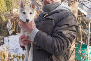 Żaroodporny pies i cud w Ciechanowcu