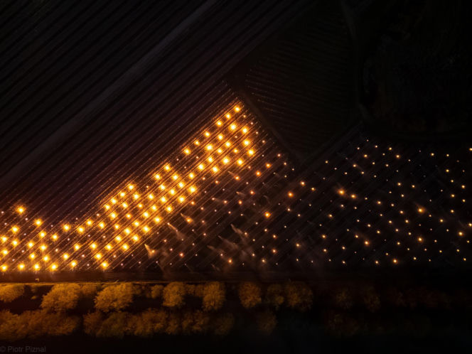 Przymrozki w winnicy - podgrzewanie winorośli