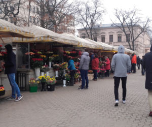 Oblężenie murku z kwiatami