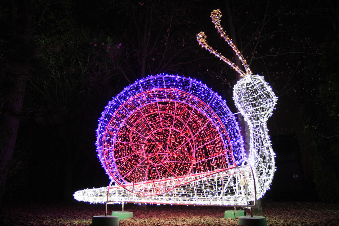 Park iluminacji „Tajemniczy Ogród” w Lublinie