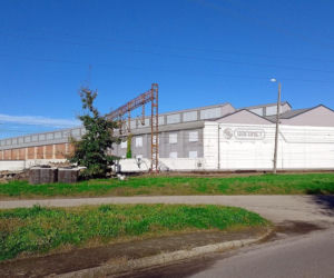 To jedno z najpiękniejszych miast na Śląsku. Produkowano w nim części do samolotów, a w PRL-u było wsią