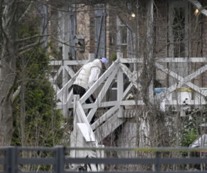 Prawdziwe paparazzi Rozenków nad morzem