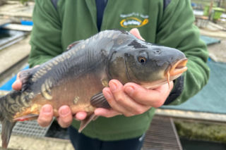 Swięta kosztują coraz więcej