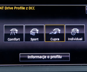 Seat Leon Cupra 290