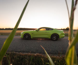 Ford Mustang GT 5.0 V8 55 Edition