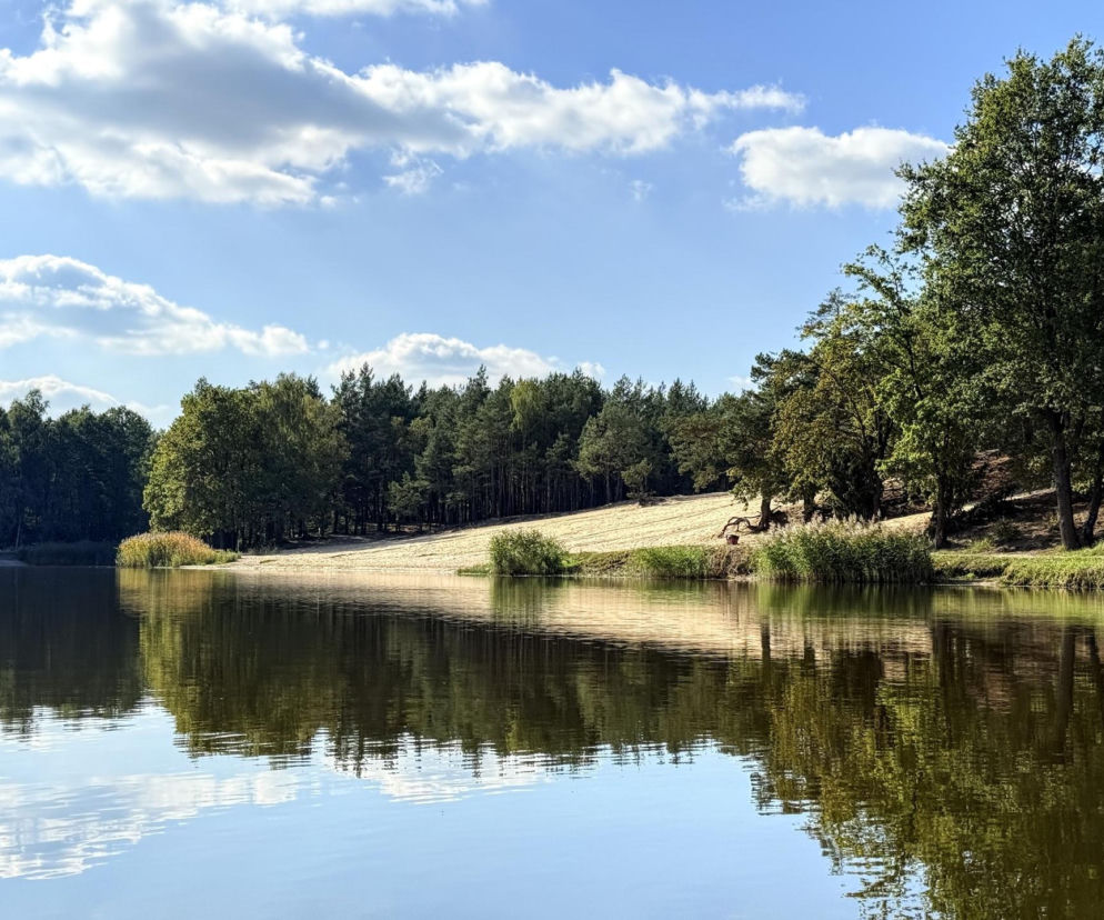 Plaża i las nad Zalewem Patyki, gdzie odbędzie się Eska Music Tour. O szczegółach koncertów przeczytasz w serwisie Eska.