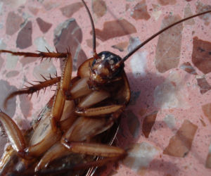 10. Walentynki z Ex