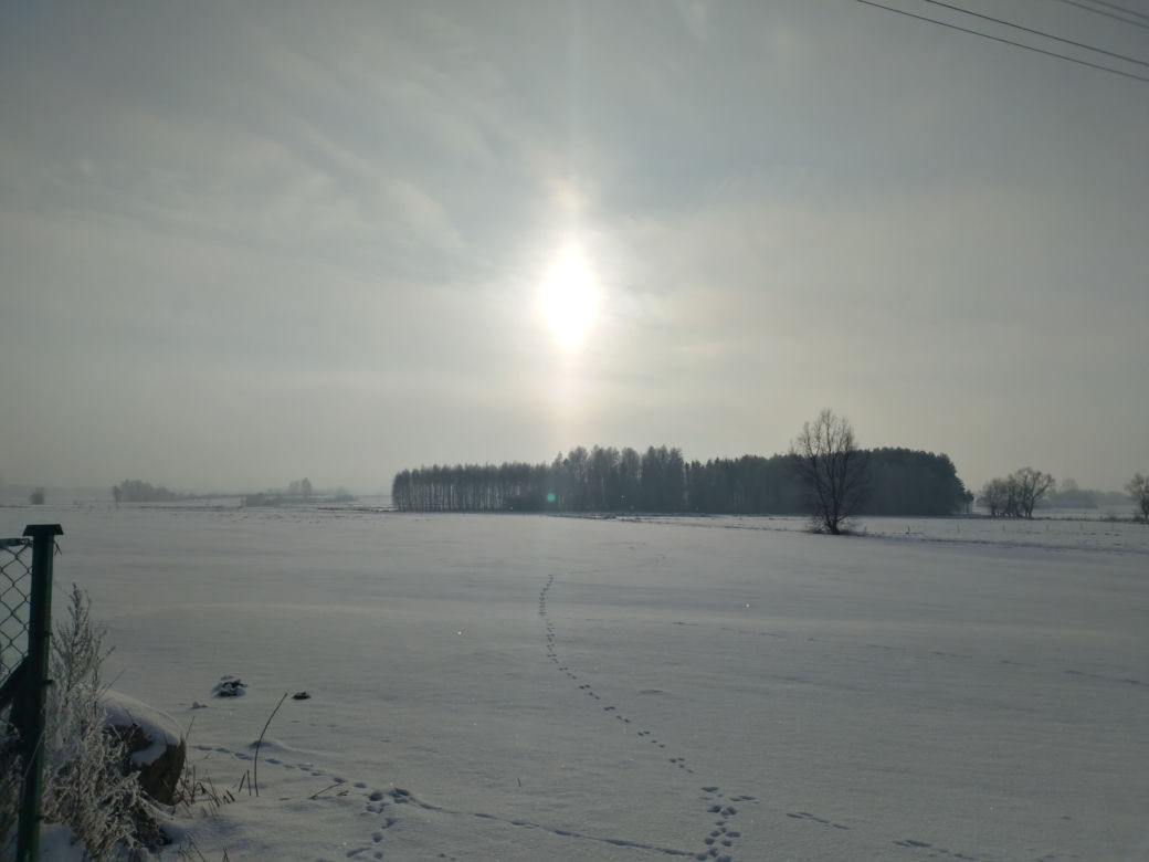 Zima na podlaskiej wsi. Okolice wsi Mikicin w powiecie monieckim. Zobaczcie zdjęcia naszej Internautki!