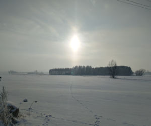 Zima na podlaskiej wsi. Okolice wsi Mikicin w powiecie monieckim. Zobaczcie zdjęcia naszej Internautki!