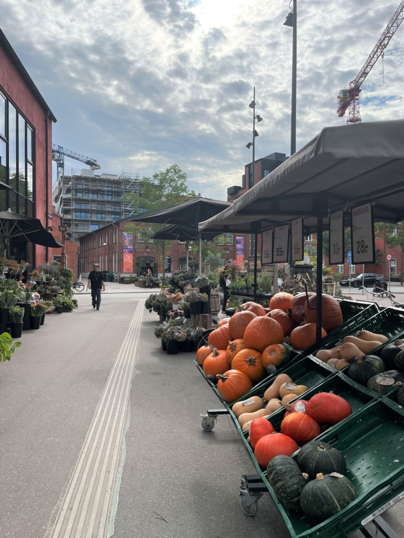 Nordhavn, wzorcowa dzielnica Kopenhagi