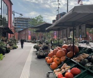 Nordhavn, wzorcowa dzielnica Kopenhagi