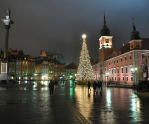 Choinka na Placu Zamkowym już świeci