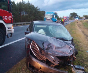 Tragiczny wypadek na obwodnicy Torunia - są wstępne ustalenia policji