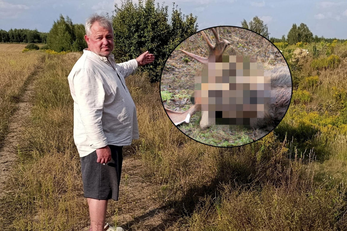 Makabryczne odkrycia przy budowie A2 na Mazowszu. Niewytłumaczalna fala zabójstw