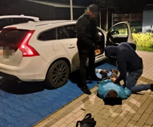 „Kobra” gryzie złodziei. Byli poszukiwani. 29-latek i 34-latek wpadli, gdy wysiedli z kradzionego Alfa Romeo