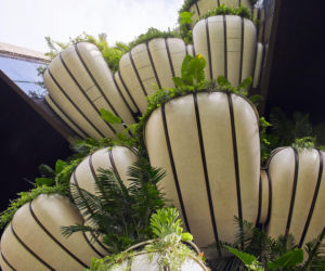 Zielone fasady odmieniają miasta