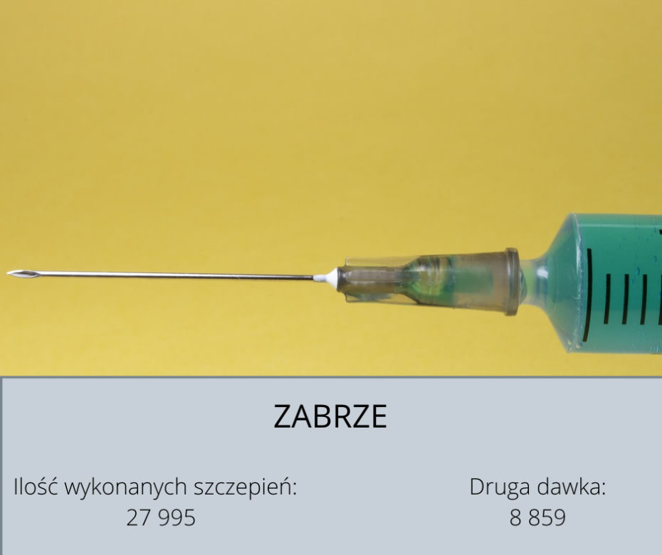 Koronawirus Śląskie. W tych powiatach zaszczepiono najwięcej osób [GALERIA] 
