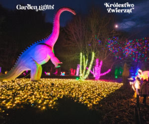 Garden of Lights