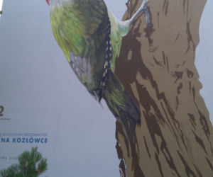 Ptasie murale na Kozłówku