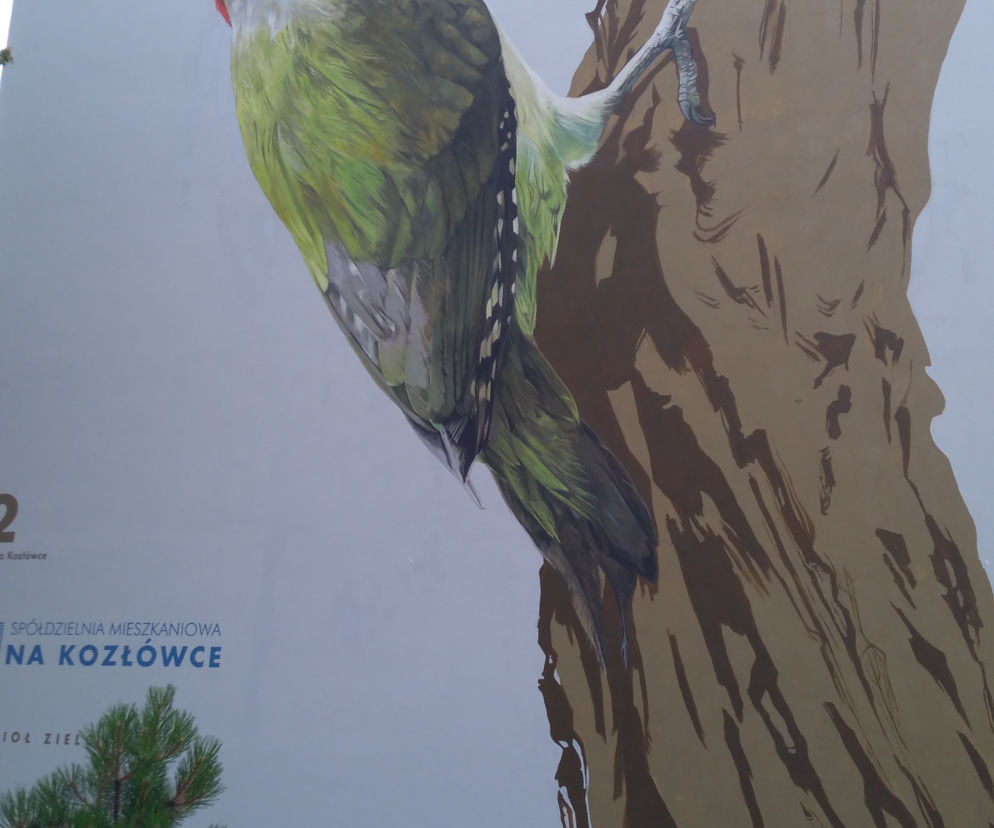 Ptasie murale na Kozłówku