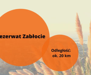 Majówka 2022: Gdzie na szybka wycieczkę z Rzeszowa? Ciekawe atrakcje 