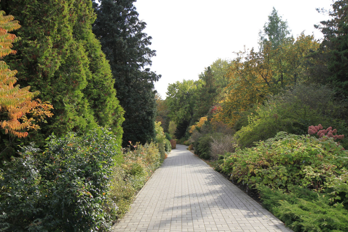 Spacer po jesiennych Ogrodzie Botanicznym w Lublinie