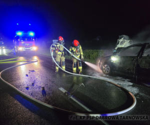 Nocny pożar na DK 73. Samochód spłonął doszczętnie