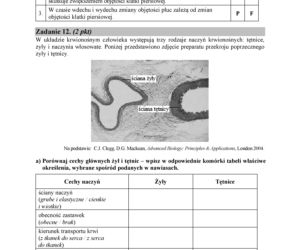 Matura 2018 z biologii. Poziom podstawowy - arkusze CKE