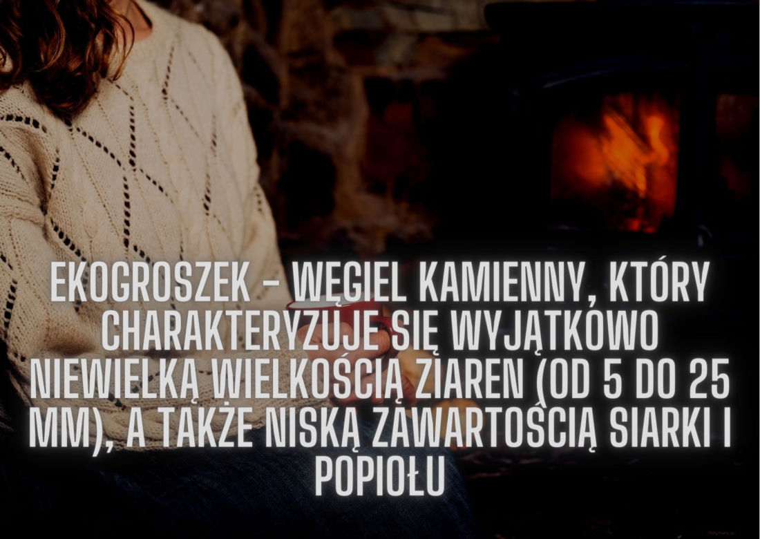 Czym ogrzewamy nasz dom zimą? Rodzaje materiałów opałowych 