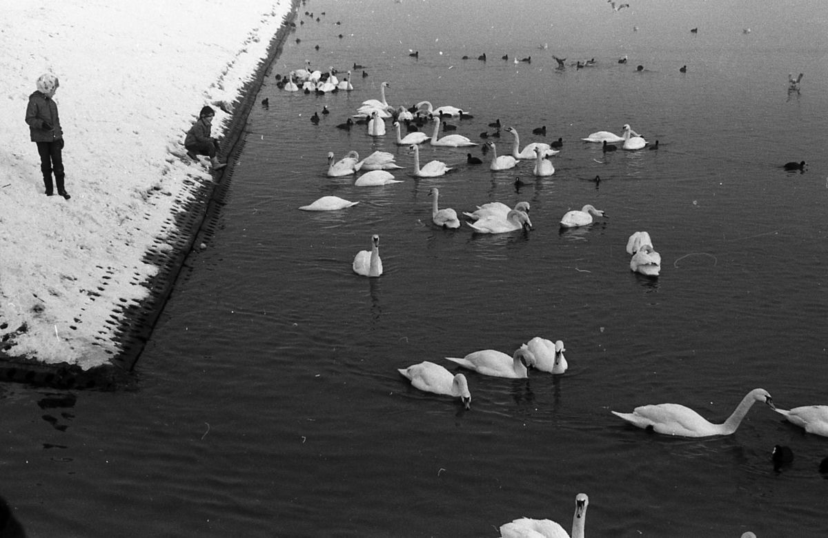 Rybnik zimą w latach 80.
