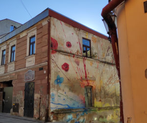 Wycięto las przy kamienicy przy Rynku 6