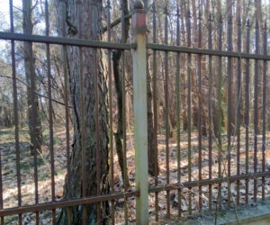 Miłośnik metalurgii nie mógł oprzeć się... ogrodzeniu. Zabrał je ze sobą!