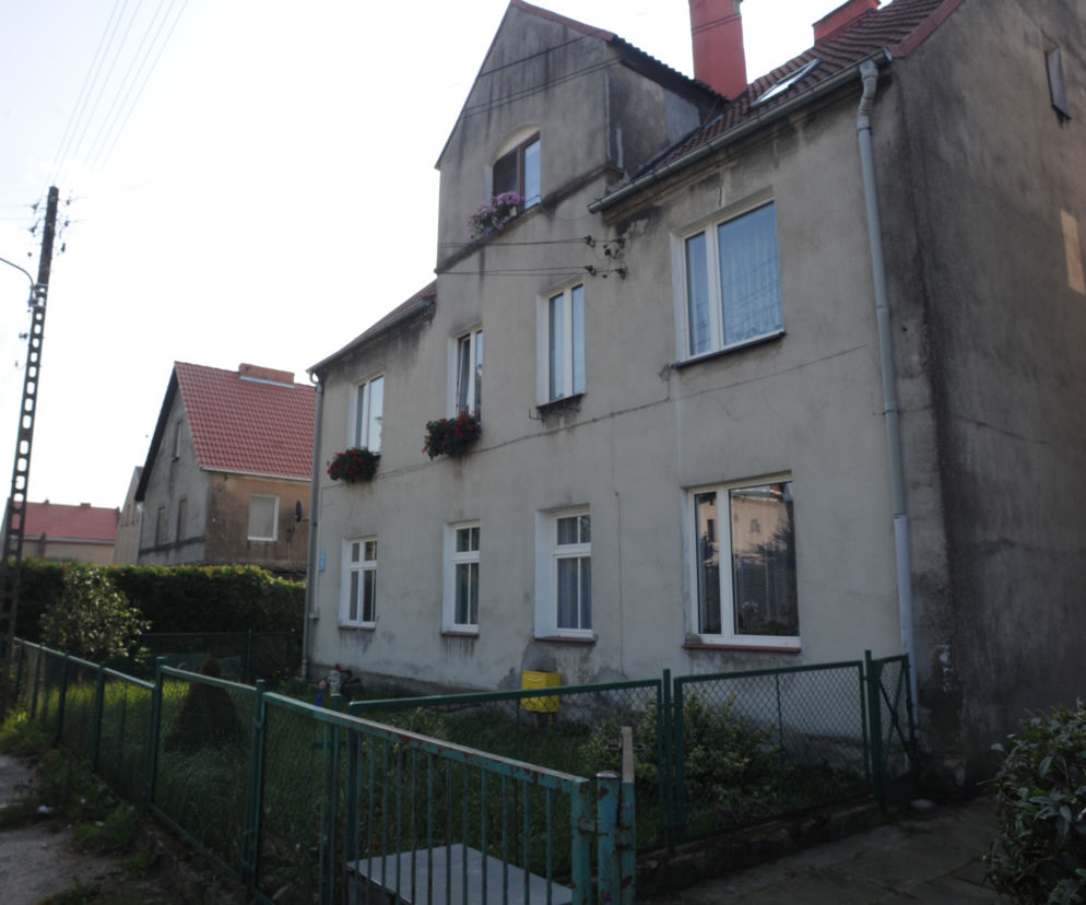 Obcięta głowa psa znaleziona na klatce schodowej
